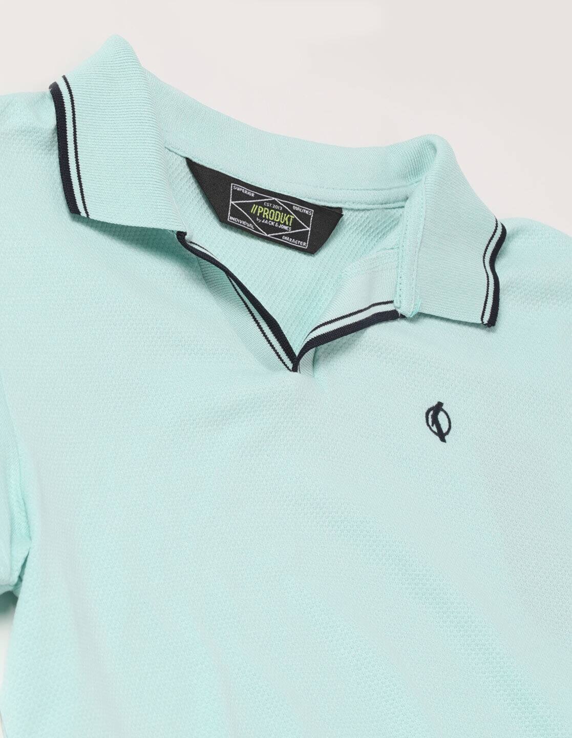 Regular Fit Polo T-Shirt with Tipped Collar