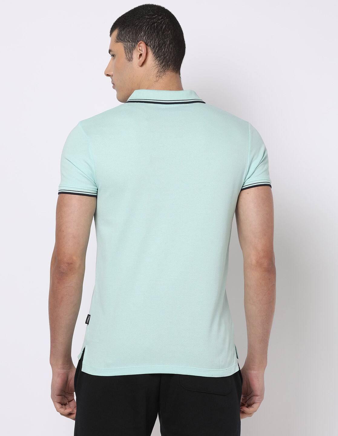 Regular Fit Polo T-Shirt with Tipped Collar
