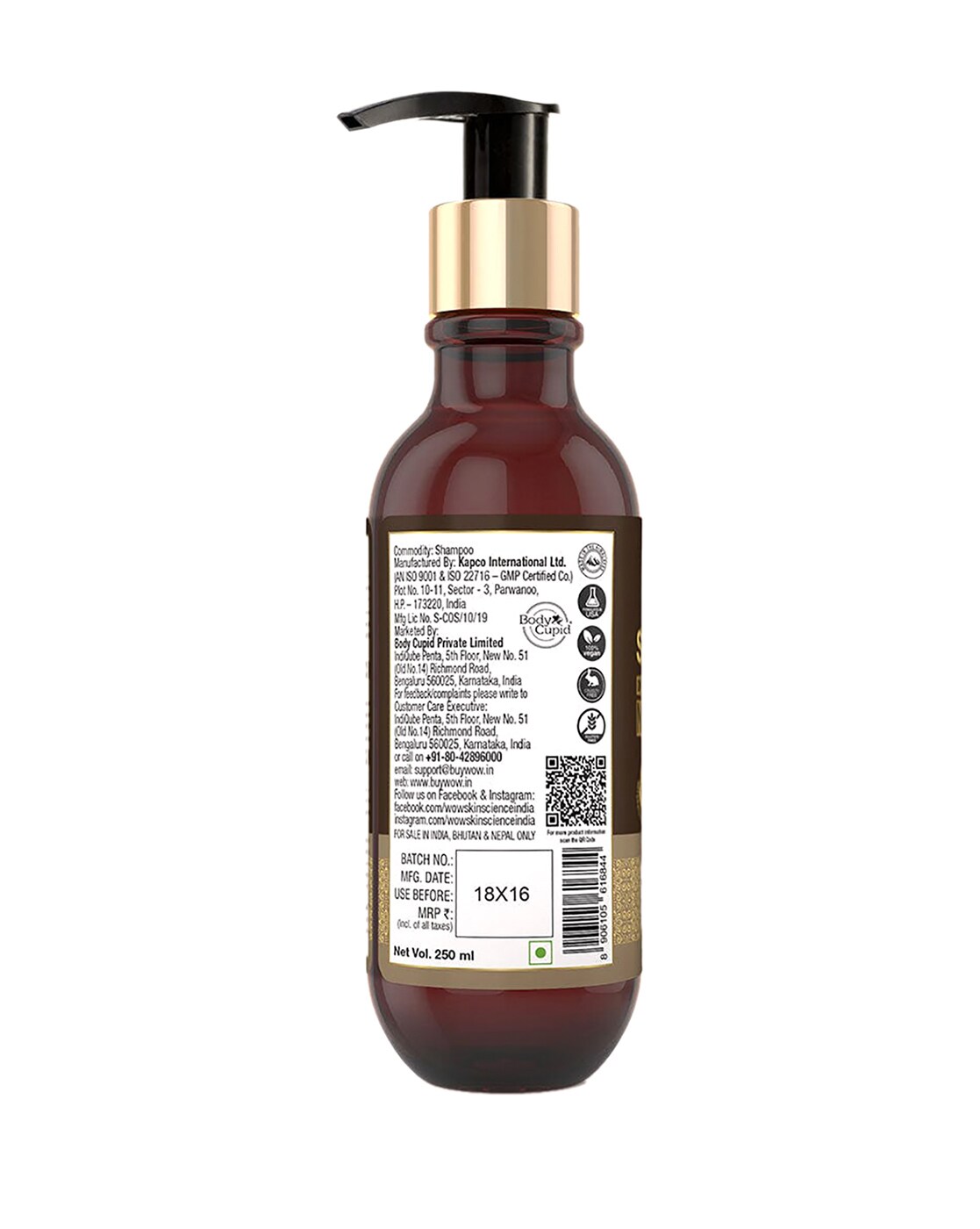 Green Tea & Tea Tree Anti Dandruff Shampoo for Dandruff, Hair Fall & Itchy  Scalp