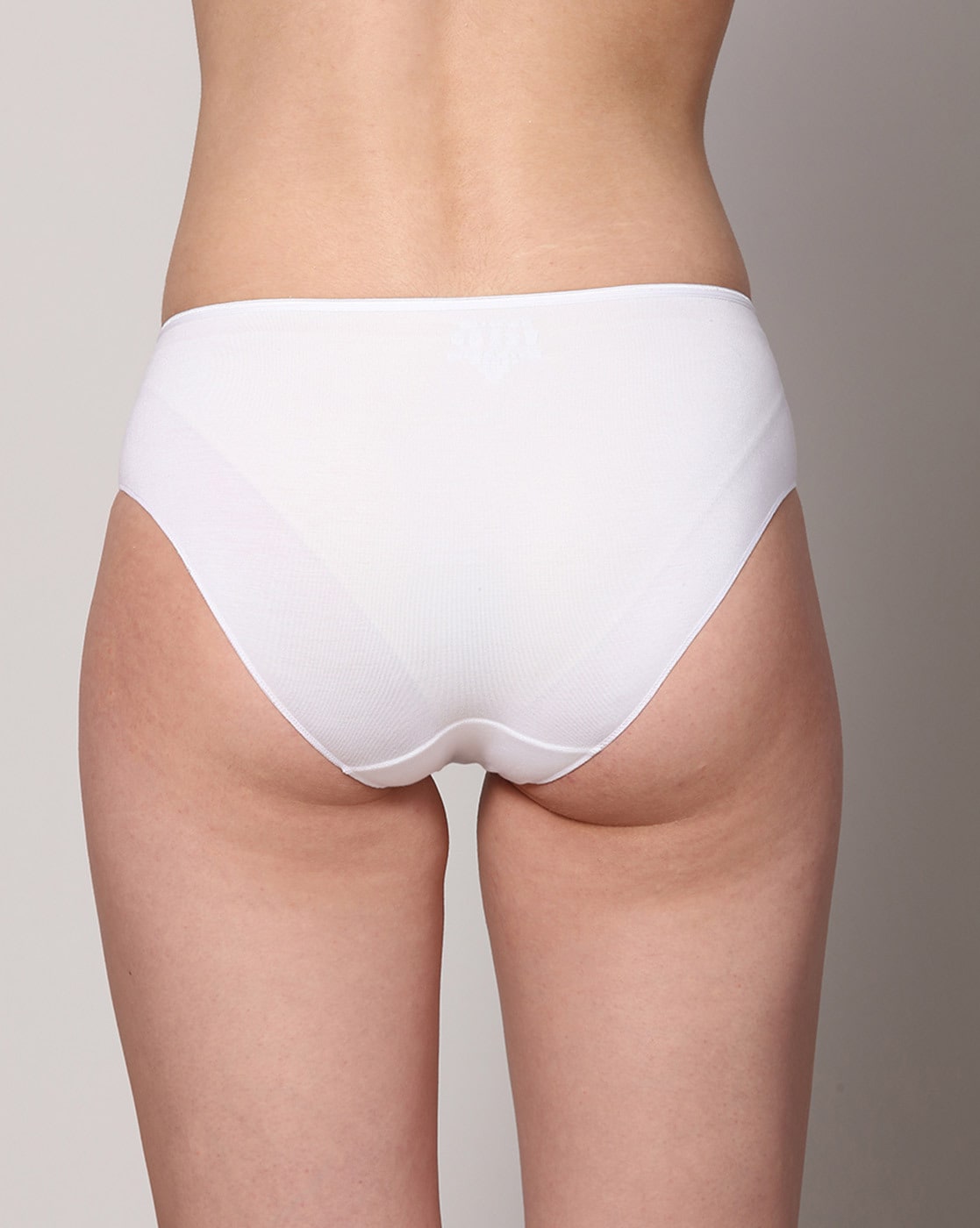 Buy Erotissch Women Blue Solid Seamless Bikini Panty Brief Online