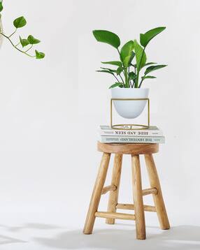 ecofynd Metal Plant Pot with Stand-picture-45