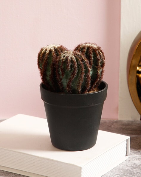 Buy Artificial Cactus Plant Online