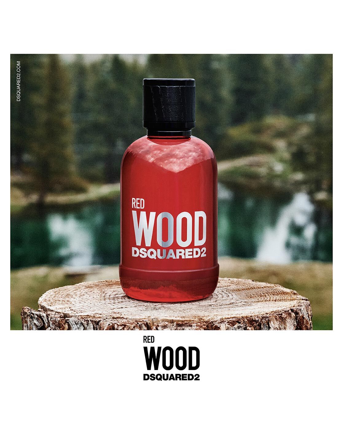 Dsquared red best sale wood parfum