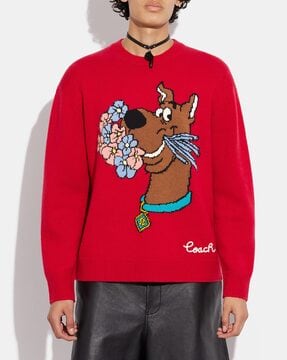 Mastering the Coach Scooby-Doo Sweater: A Complete Guide for Fans and Fashionistas