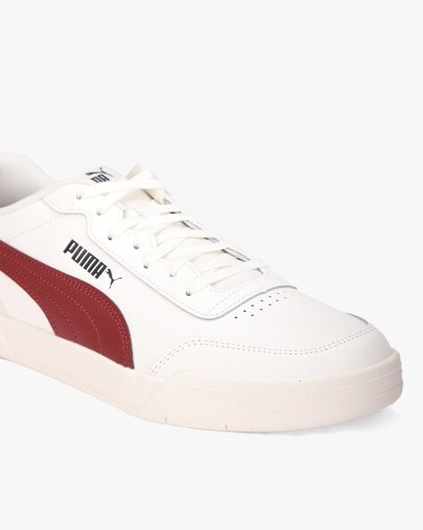 Puma caracal outlet