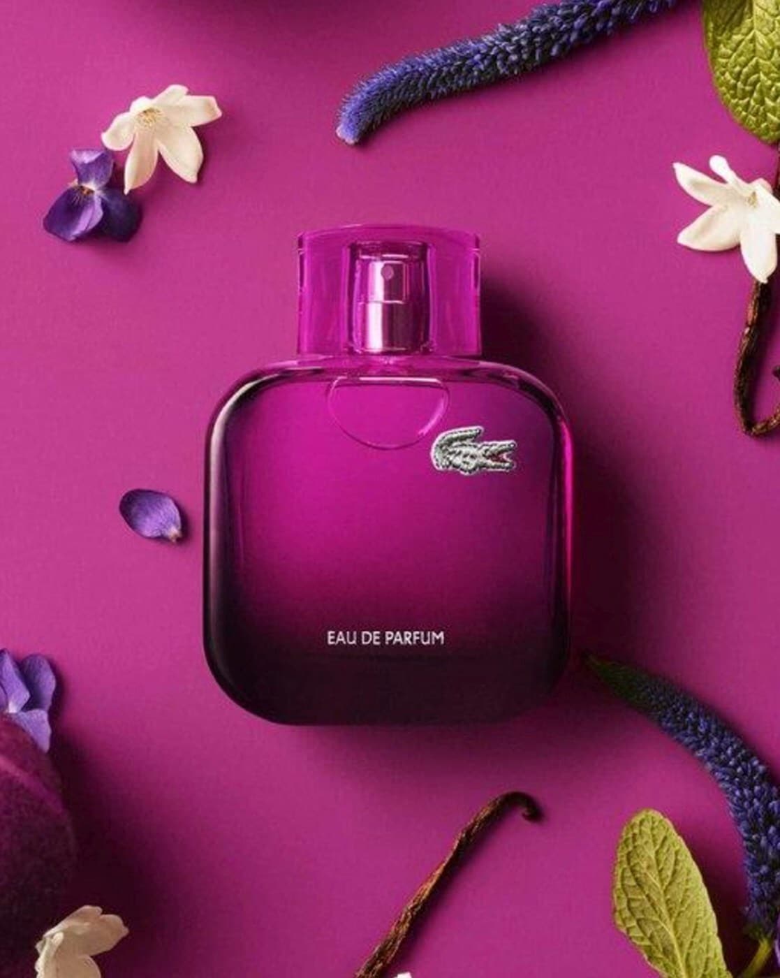 Lacoste discount women's fragrance