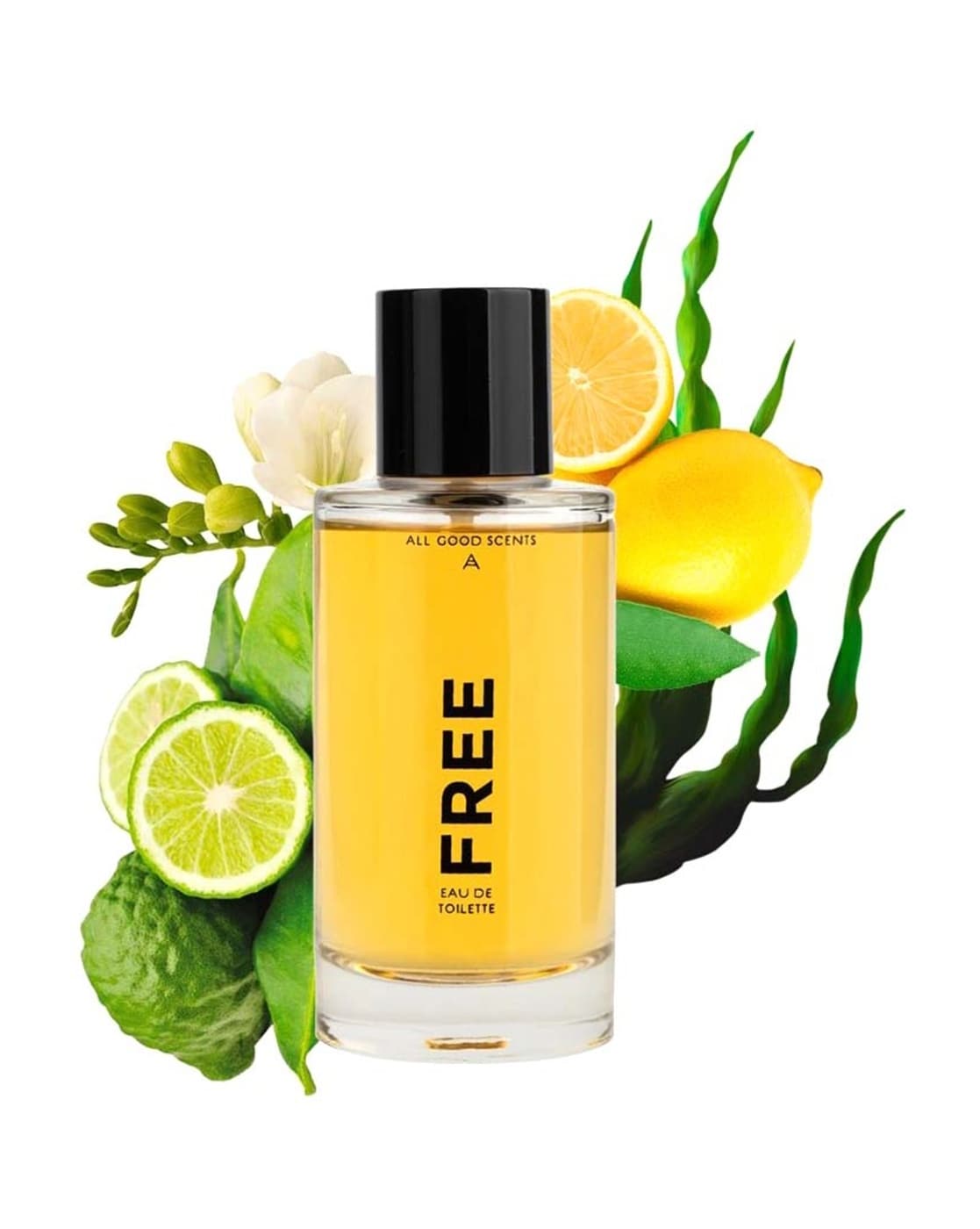 Good scents online oil