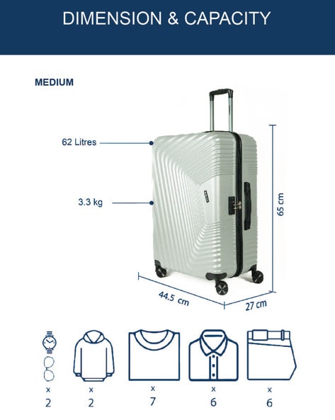 Silver luggage 2024