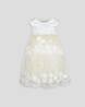 Choupette Multicolor Embroidered Dress