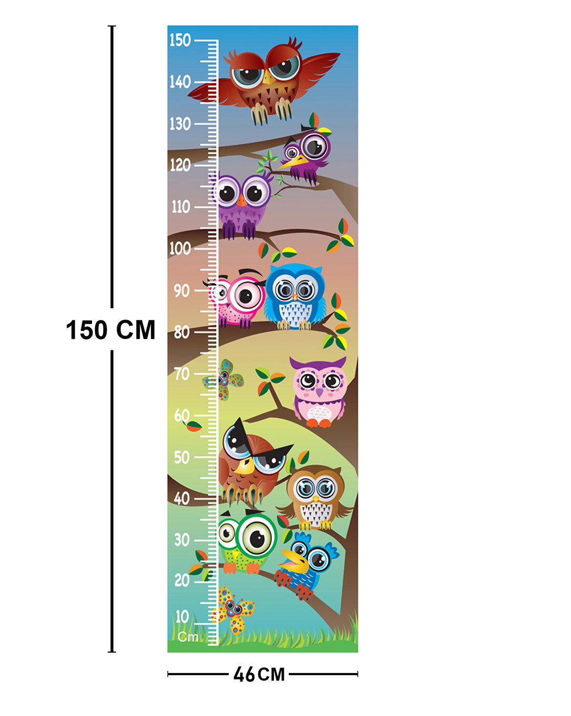 WENS Wall Height Chart Multicolour Online in India, Buy at Best