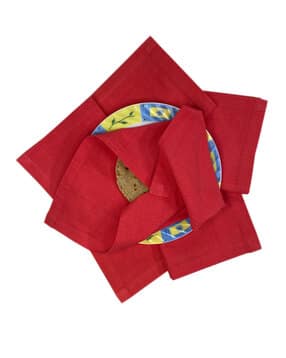 foveros Set of 6 Roti Chapati Covers-picture-31