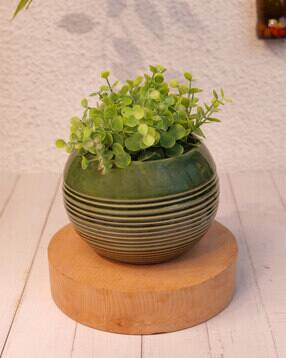 vareesha Striped Ceramic Planter Pots-picture-47