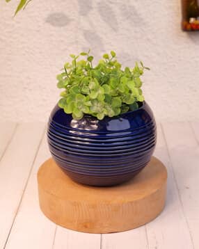 vareesha Striped Ceramic Planter Pots-picture-42