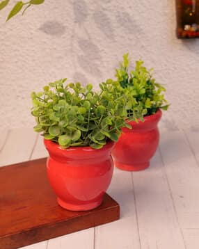 vareesha Set of 2 Ceramic Planter Pots-picture-26