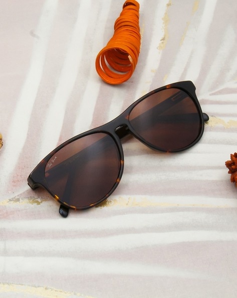 Women's Brown Wayfarer Sunglasses