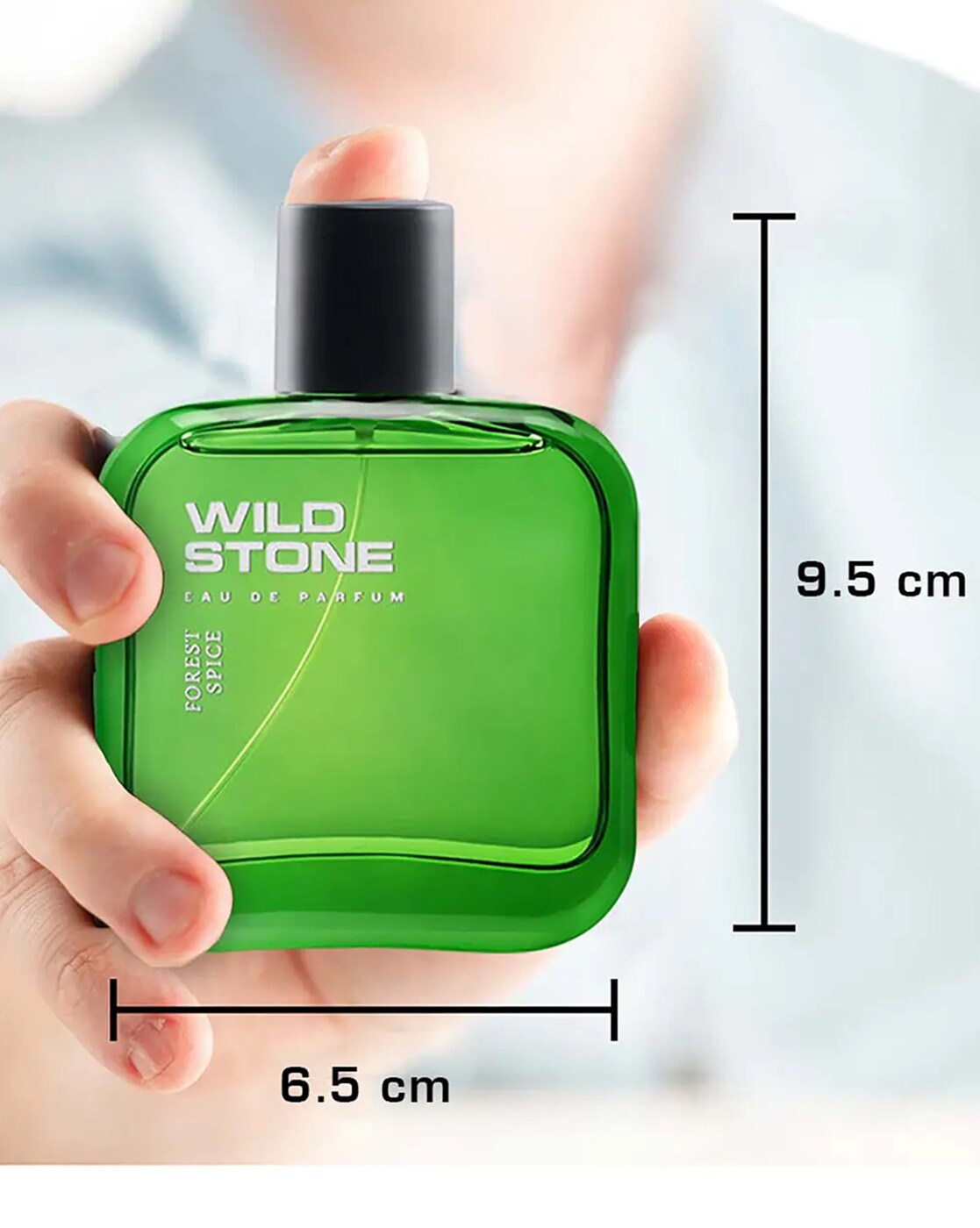 Wild Stone Forest Spice Eau De Parfum (50ml)