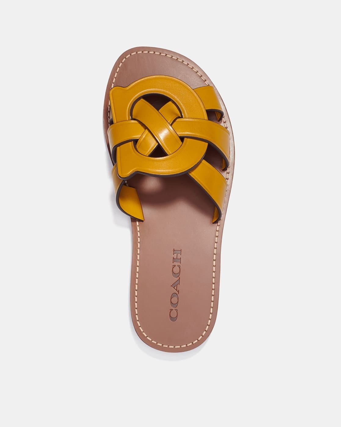 Details more than 136 coach slippers latest esthdonghoadian