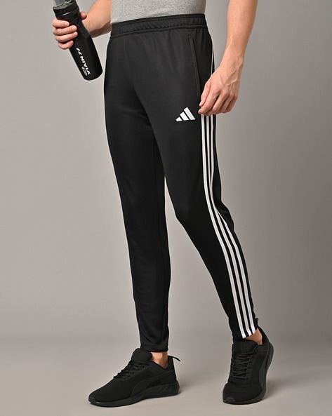 Adidas Black Shock Lime Track Pant - Get Best Price from Manufacturers &  Suppliers in India