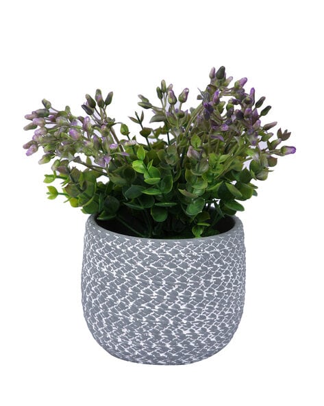 Buy Grey & White Gardening & Planters for Home & Kitchen by Tayhaa