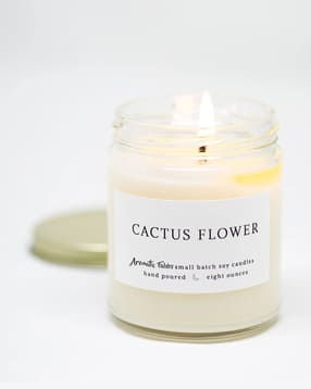 aromaticfables Cactus Flower & Ocean Breeze Scented Glass Jar Candle-picture-31