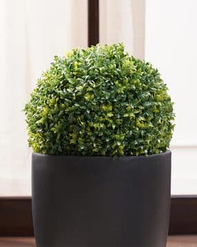 pure home and living Faux Seagrass Ball - Small-picture-32