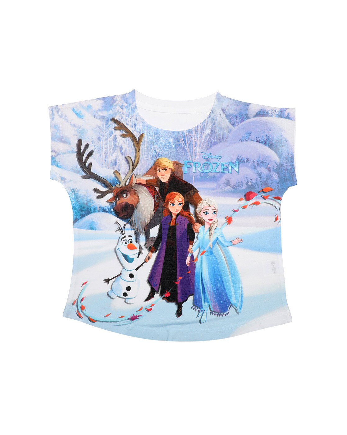 Camiseta frozen 2024