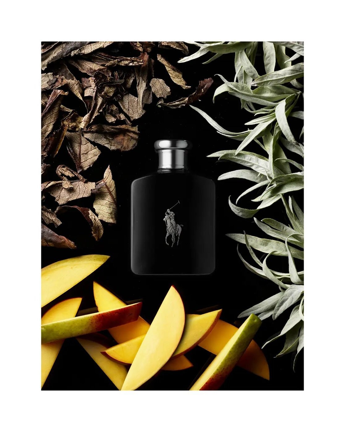 Perfume, Branded Polo Black Ralph Lauren Perfume At Less ₹