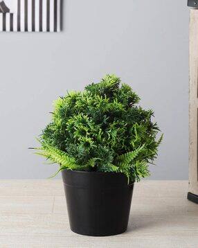 foliyaj Artificial Thick Leaves Plant-picture-40