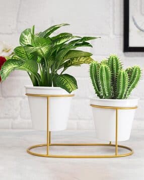 homesake Set of 2 Oval Planter Stand with Pots-picture-37