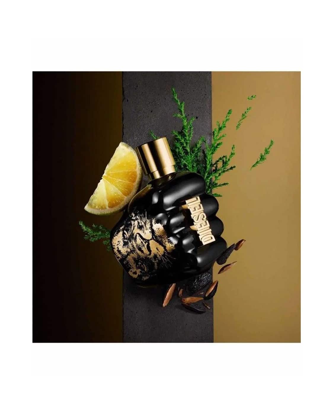 Buy wct Perfumes Colognes for Men by DIESEL Online