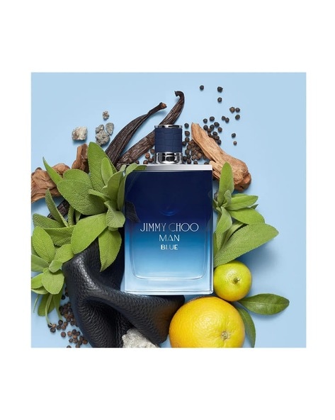 Jimmy choo 2024 blue 100ml