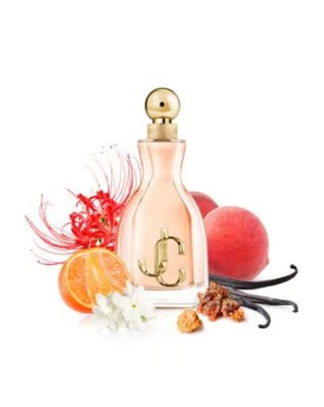 Jimmy choo jimmy choo 100ml hot sale