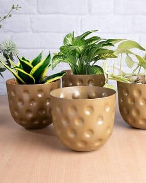 homesake Set of 4 Belly Bucket Plant Pots-picture-18