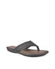 Buy Brown Flip Flop & Slippers for Men by REGAL Online | Ajio.com