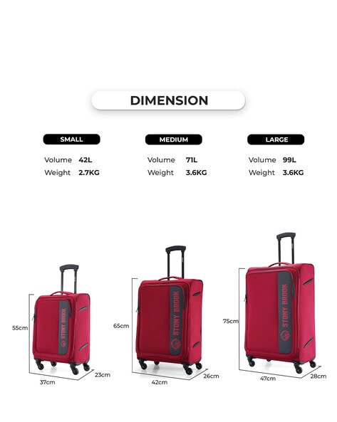 Large luggage online