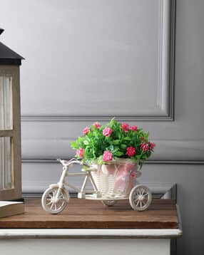 foliyaj Rickshaw Plant with Green Leaves & Roses-picture-13
