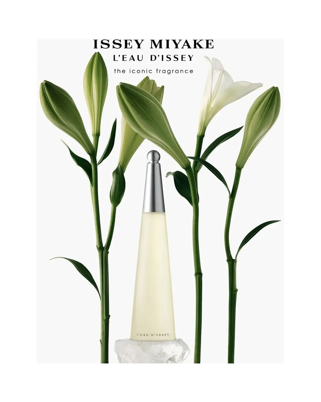 Issey Miyake Parfums