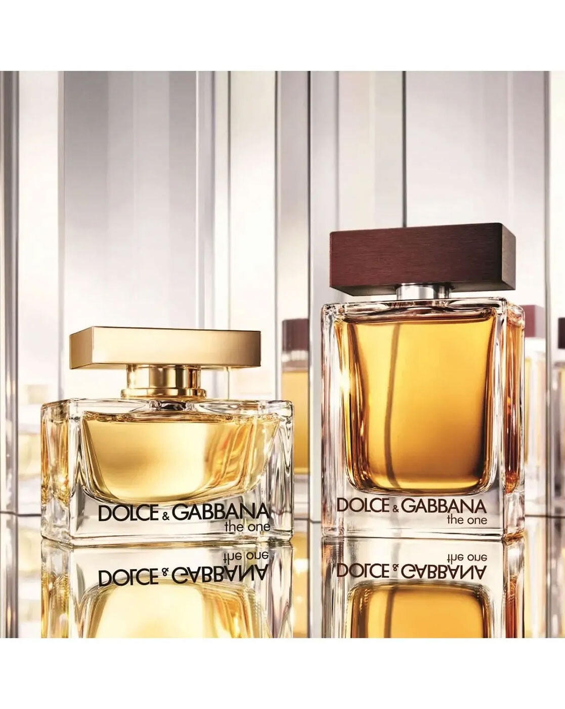 The one gift discount set dolce gabbana