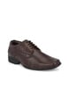Buy Brown Formal Shoes for Men by BERKINS Online | Ajio.com