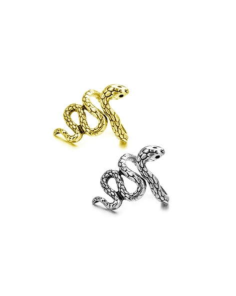 Stainless Steel Vintage Snake Fashion Drop Earrings Men Punk Hip Hop  Imitation Animal Ears Jewelry - AliExpress