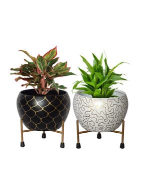 ecofynd Set of 2 Geometric Print Metal Pot with Stand-picture-25
