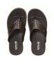 Buy Brown Flip Flop & Slippers for Men by SPYKAR Online | Ajio.com