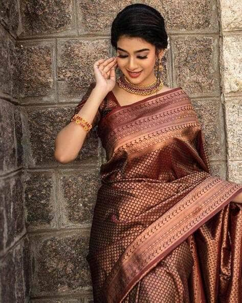 Light Brown Organza Silk saree with sequins work