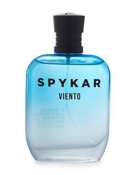 spykar Viento Eau de Parfum 100 ml-picture-23