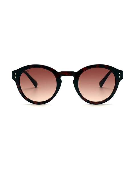 Buy Brown Sunglasses for Men by SCOTT Online