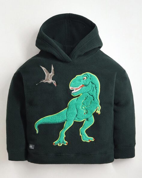 Dinosaur hoodie outlet for boys