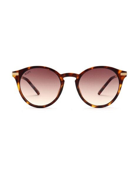 Buy Brown Sunglasses for Women by KENNETH COLE Online | Ajio.com