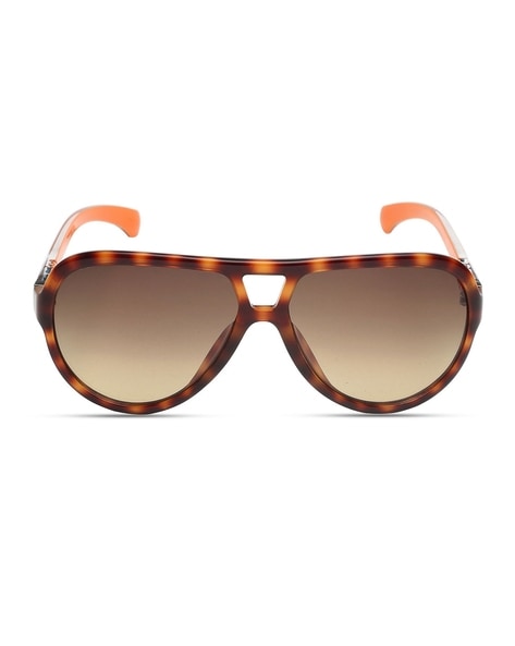 Buy Calvin Klein Women Oval Sunglasses Ck 2147 210 48 S - Sunglasses for  Women 7759517 | Myntra