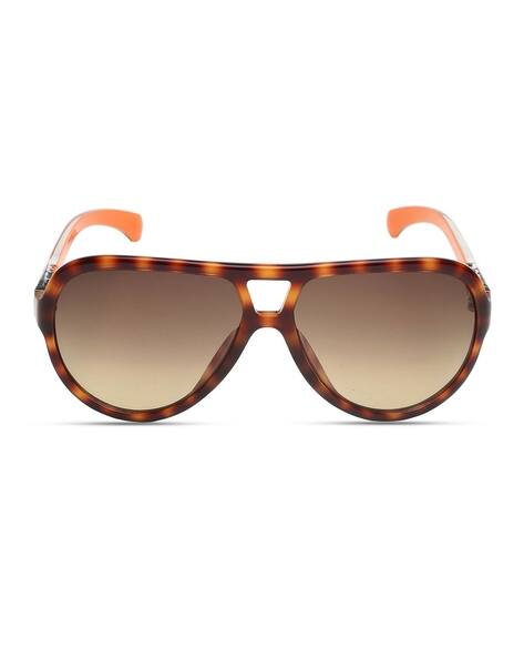CALVIN KLEIN Women UV-Protected Round Sunglasses - 740 216 60 S