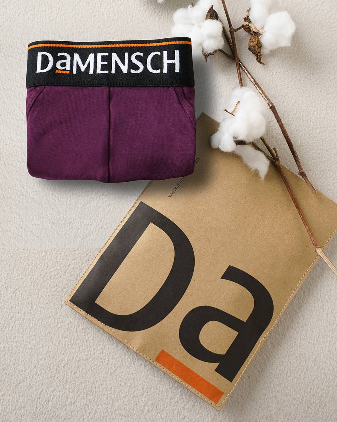 Buy Violet Briefs for Men by DAMENSCH Online